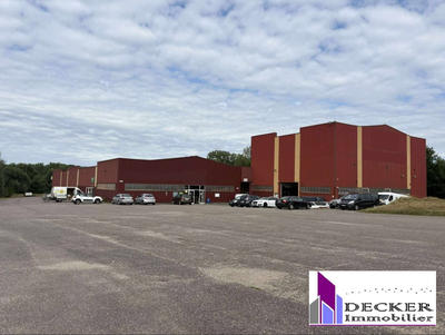 Local d'activités - 4 000 m²