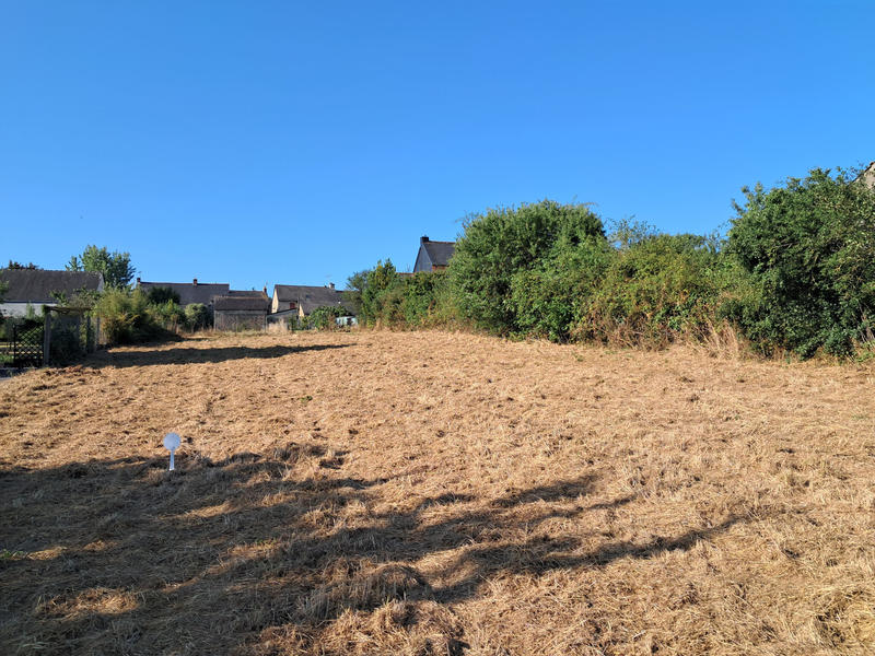 Terrain - 999 m²