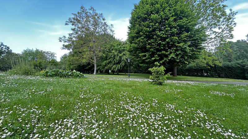 Maison - 342 m² - 10 pièces