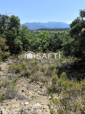 Terrain - 22 780 m²