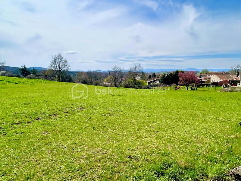 Terrain - 4 066 m²
