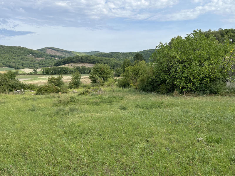 Terrain - 1 290 m²