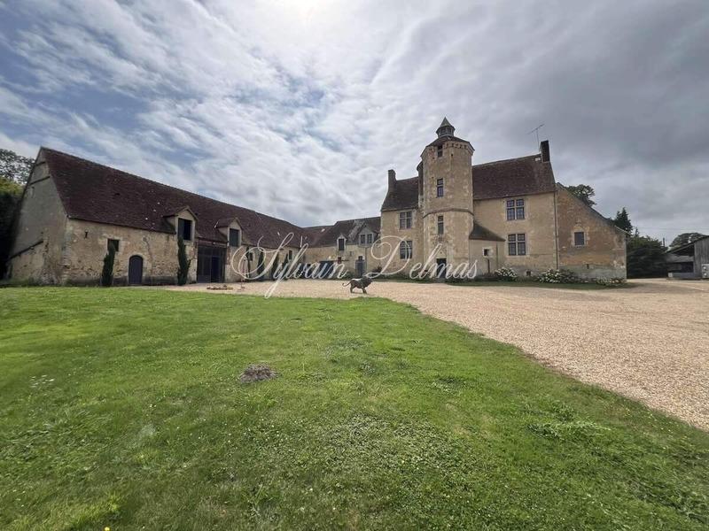 Château - 4 400 m² - 35 pièces