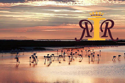 Maison traditionnelle - 283 m² - 9 pièces