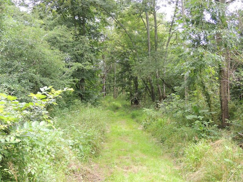 Terrain - 467 200 m²