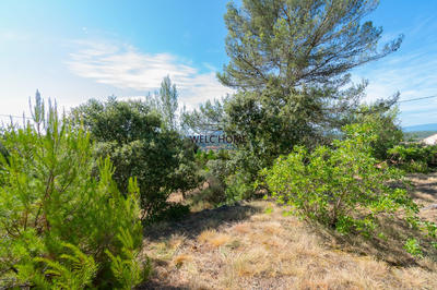 Terrain - 831 m²