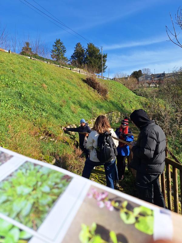 Balade comestible : Croque-Nature !