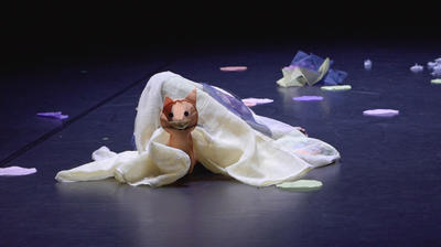 Danse contemporaine : Cocon