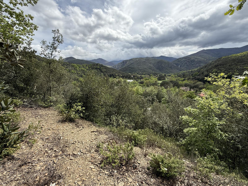 Terrain agricole - 5 780 m²