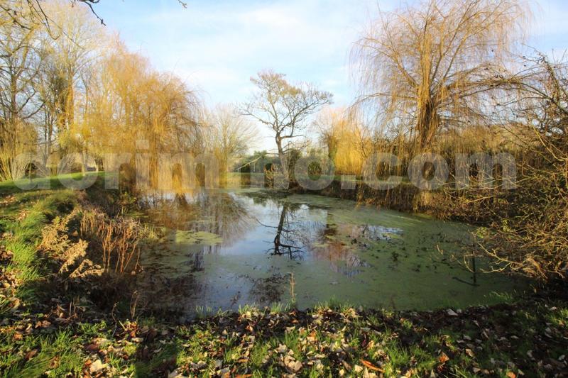 Moulin - 198 m² - 7 pièces