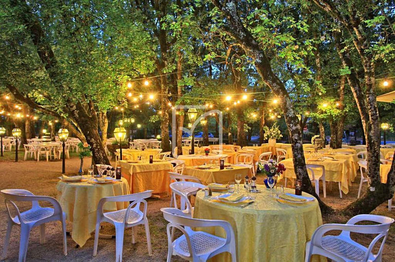 Propriété - 3 900 m² - 96 pièces