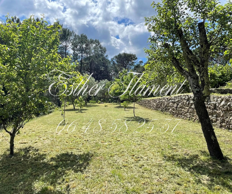 Propriété - 32 m² - 2 pièces