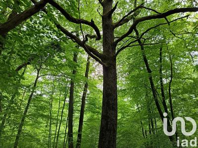 Terrain agricole - 8 960 m²