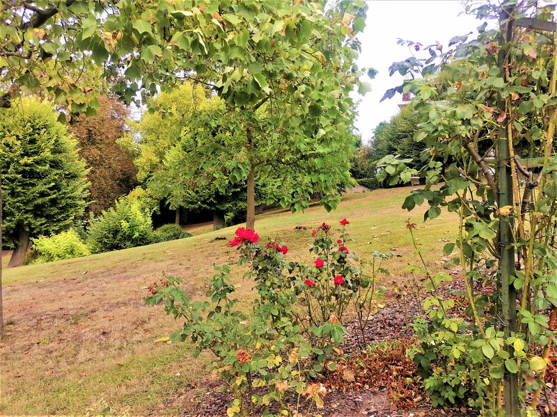 Appartement - 86 m² - 4 pièces