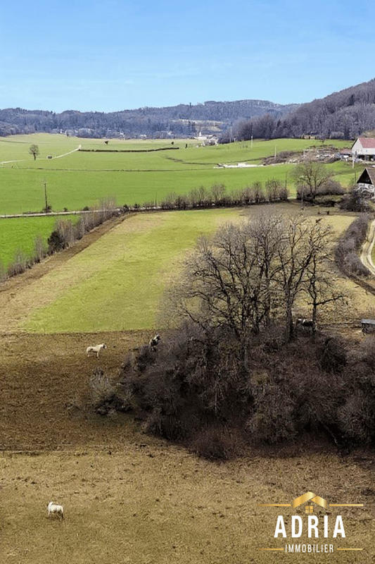 Ferme - 263 m² - 7 pièces