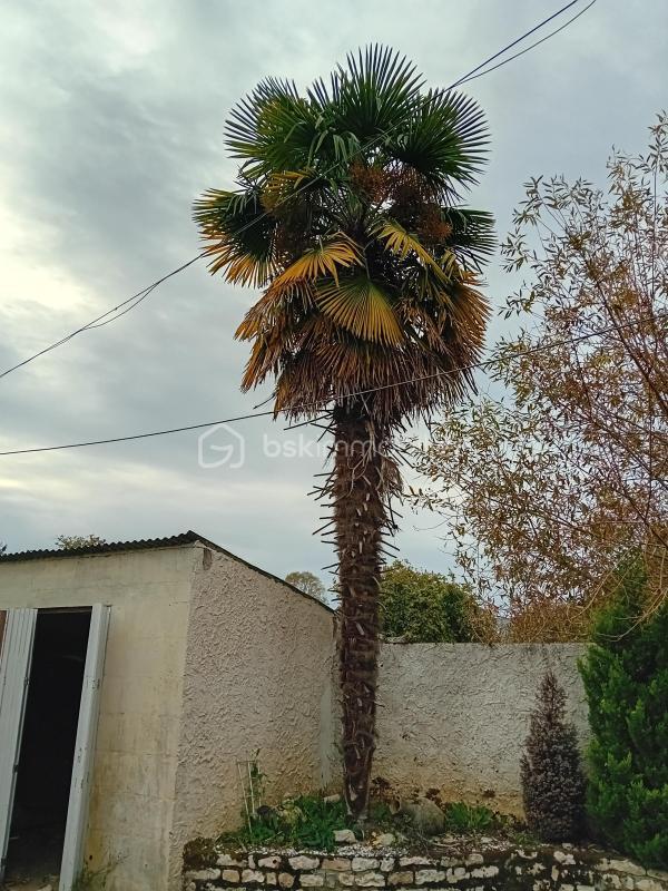 Propriété - 110 m² - 4 pièces