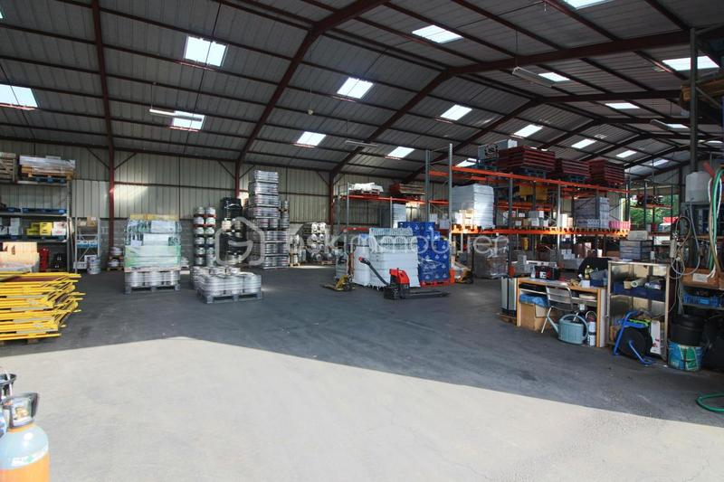 Entrepôt - 890 m² - 6 pièces