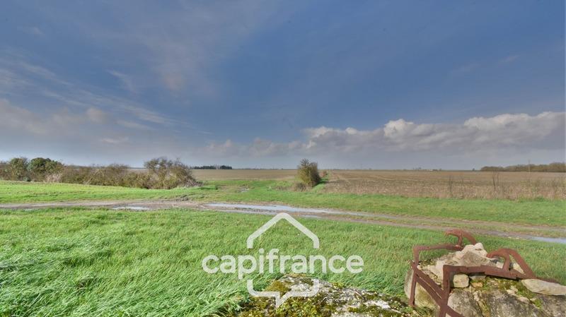 Hangar - 592 m² - 5 pièces