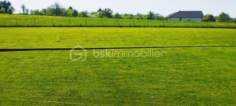 Immeuble - 242 m² - 12 pièces