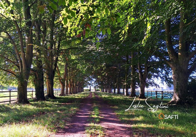 Maison - 3 087 m² - 14 pièces