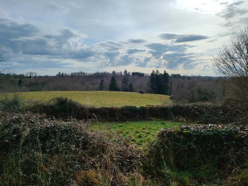 Manoir - 350 m² - 10 pièces