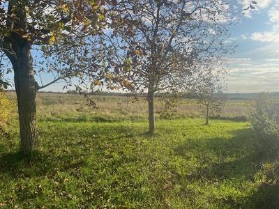 Terrain constructible - 279 m²