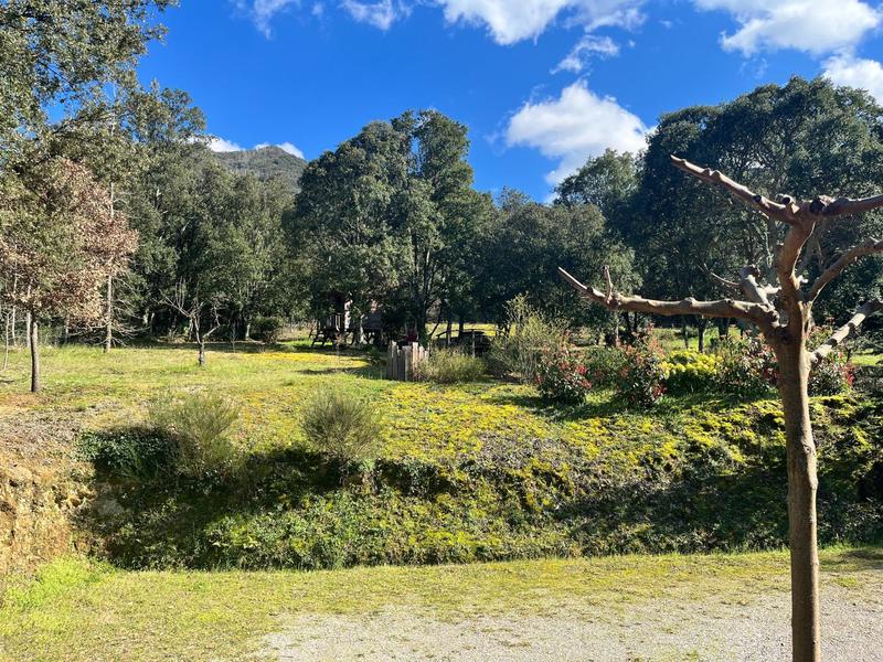 Maison - 266 m² - 9 pièces