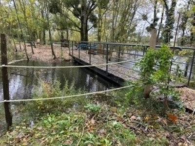 Terrain - 34 265 m²