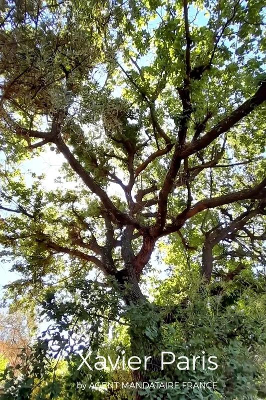 Maison - 202 m² - 8 pièces