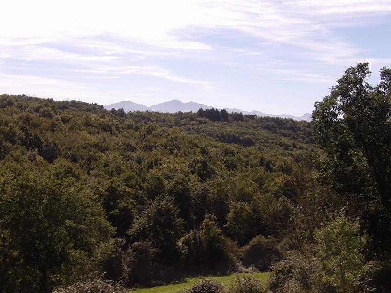 Maison - 750 m² - 19 pièces