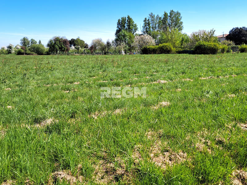 Terrain - 1 155 m²