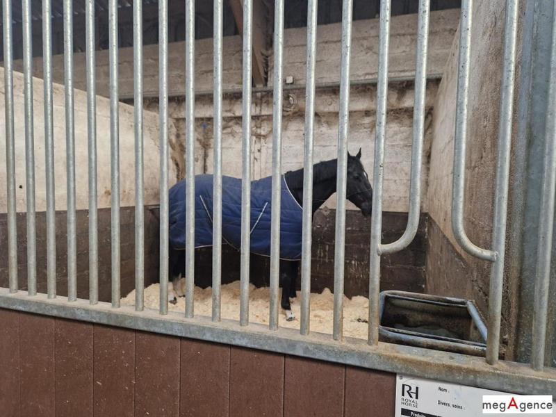 Maison - 620 m² - 3 pièces