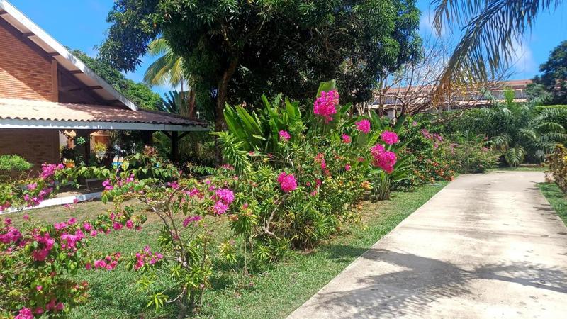 Maison - 350 m² - 6 pièces