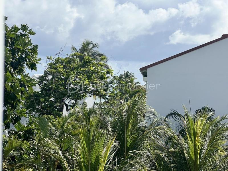 Studio - 25 m² - 2 pièces