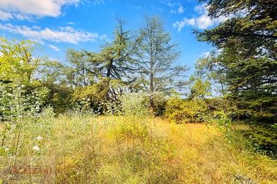 Terrain constructible - 800 m²