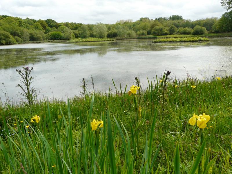 Découverte des réserves : Errota Handia