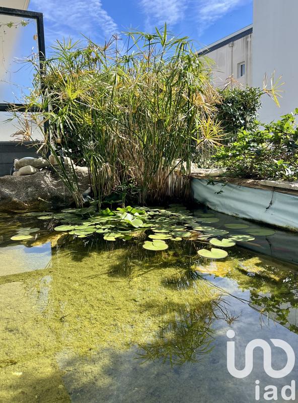 Appartement - 34 m² - 2 pièces