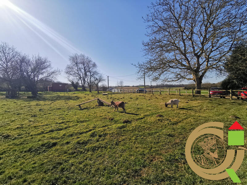 Maison ancienne - 388 m² - 20 pièces