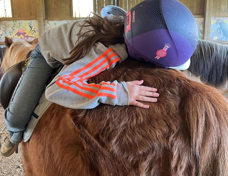 Activité : équithérapie