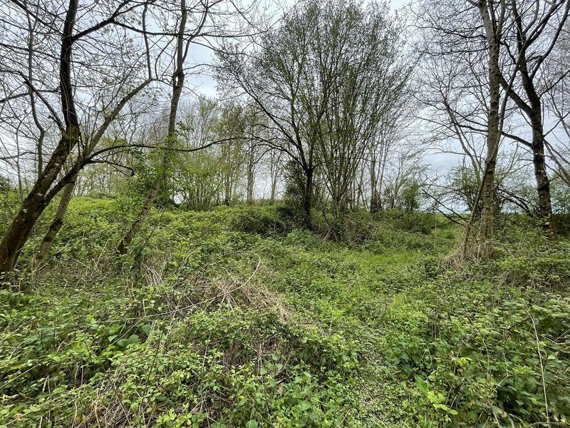 Terrain de loisirs - 5 440 m²