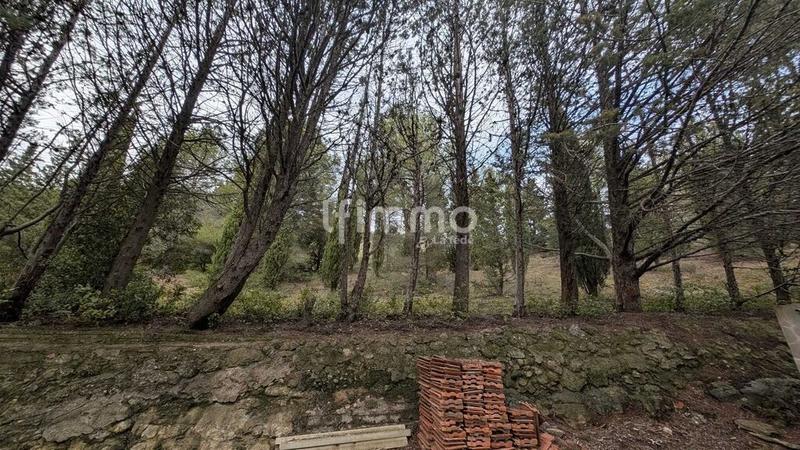 Terrain - 13 051 m²