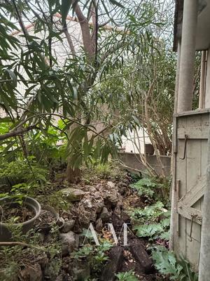 Local commercial - 39 m² - 3 pièces