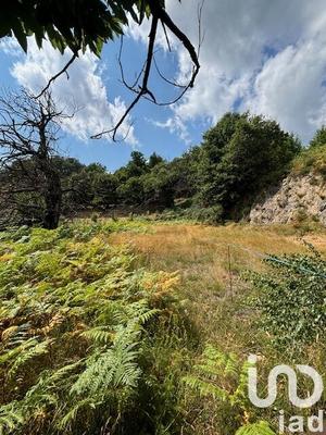 Maison - 300 m² - 10 pièces