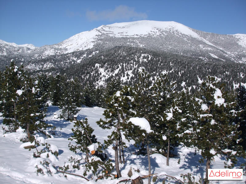 Châlet - 51 m² - 3 pièces