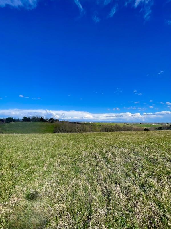 Terrain - 36 155 m²