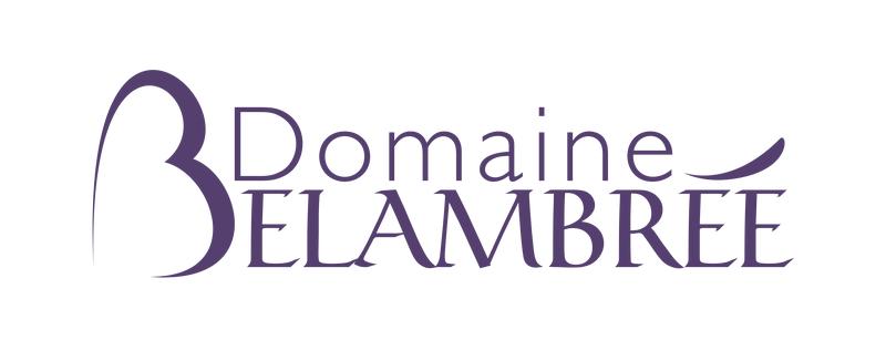 Accords mets &amp; vins en 4 temps - les femmes et le vin