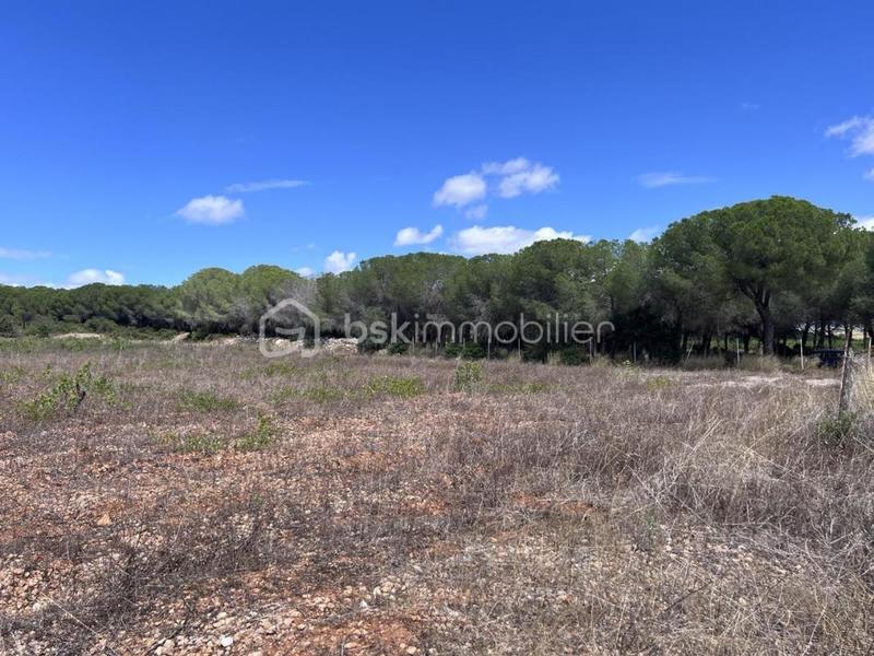 Terrain de loisirs - 16 125 m²