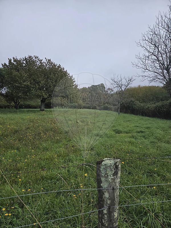 Maison - 102 m² - 6 pièces