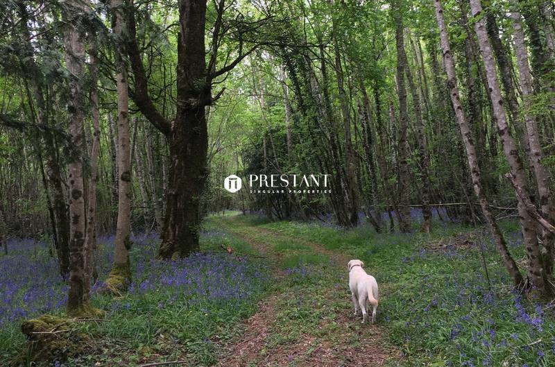 Château - 721 m² - 20 pièces