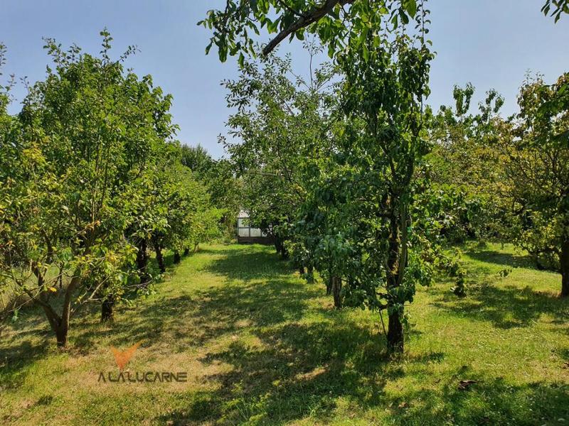 Maison - 77 m² - 4 pièces